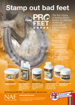 ProFeet