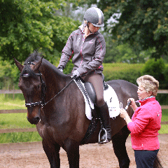 Saddlefitting