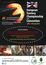 EFFA 2014